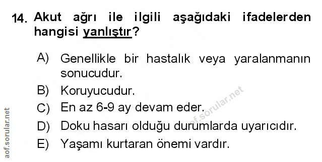 Soru 14