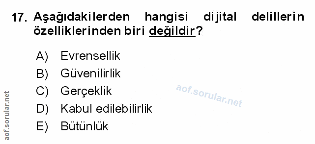 Soru 17