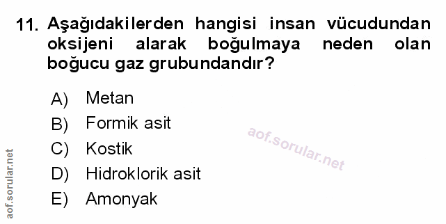 Soru 11