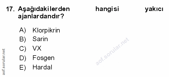 Soru 17