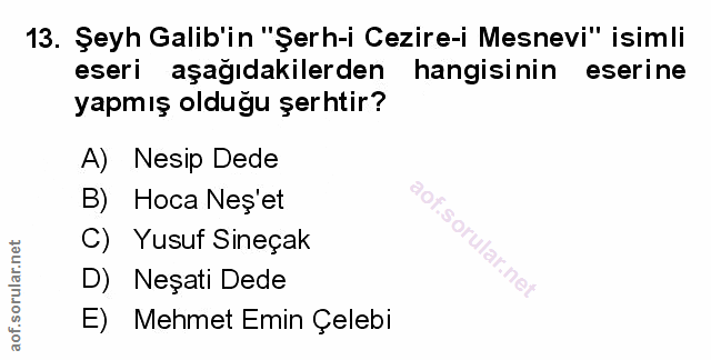 Soru 13