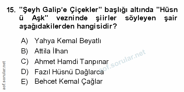 Soru 15