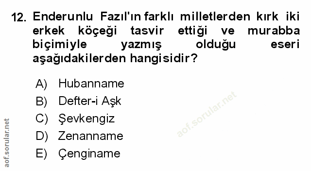 Soru 12
