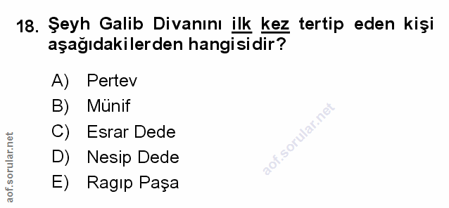 Soru 18
