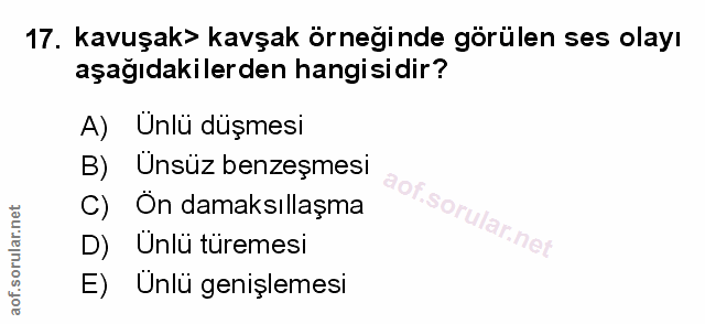 Soru 17