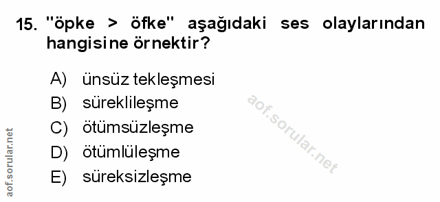 Soru 15