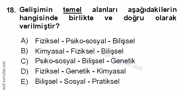 Soru 18