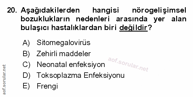 Soru 20