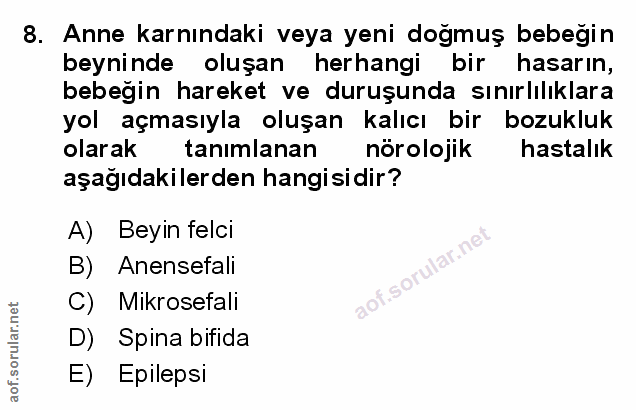Soru 8