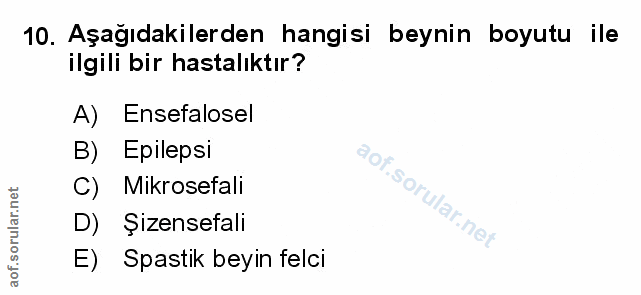 Soru 10