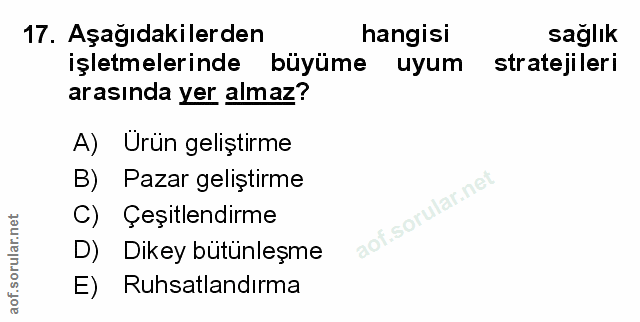 Soru 17