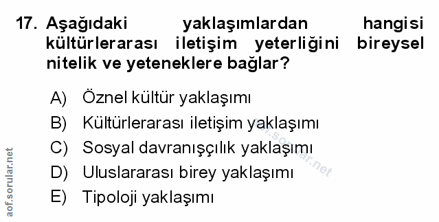 Soru 17