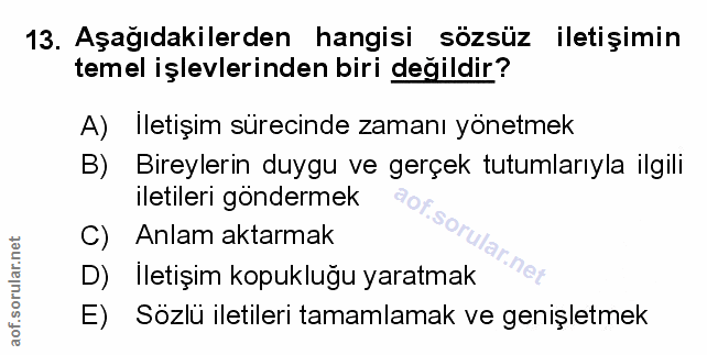 Soru 13