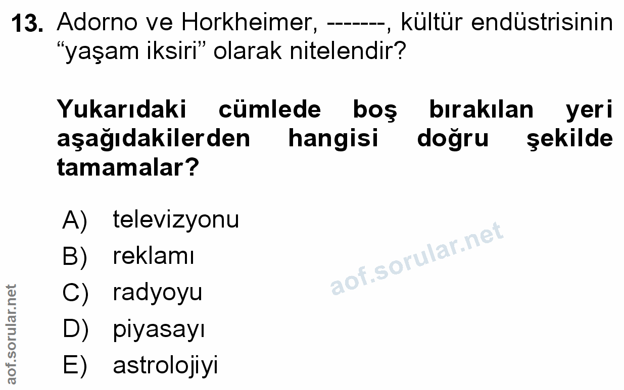 Soru 13