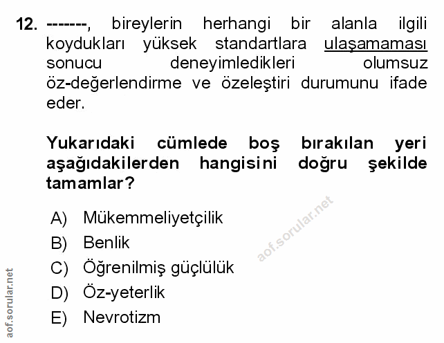 Soru 12