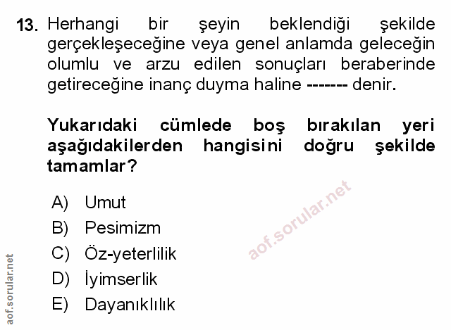 Soru 13