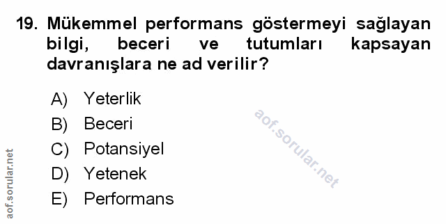 Soru 19