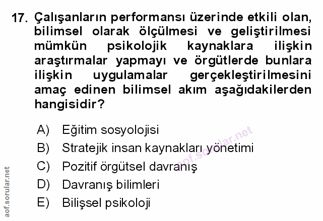 Soru 17