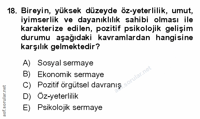 Soru 18