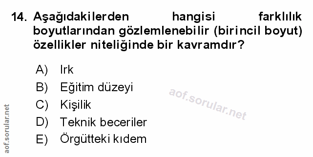 Soru 14