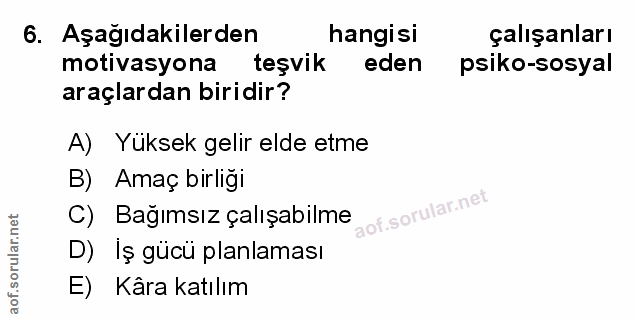Soru 6