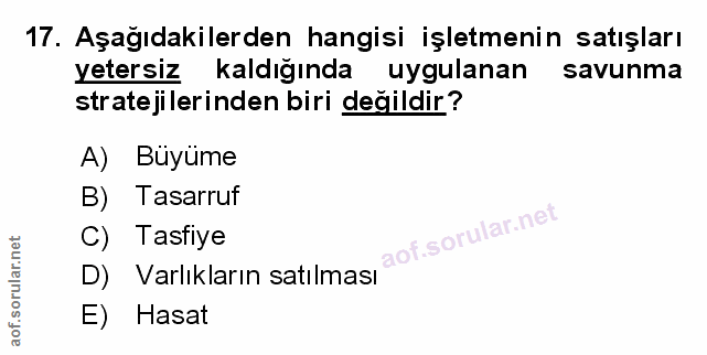 Soru 17