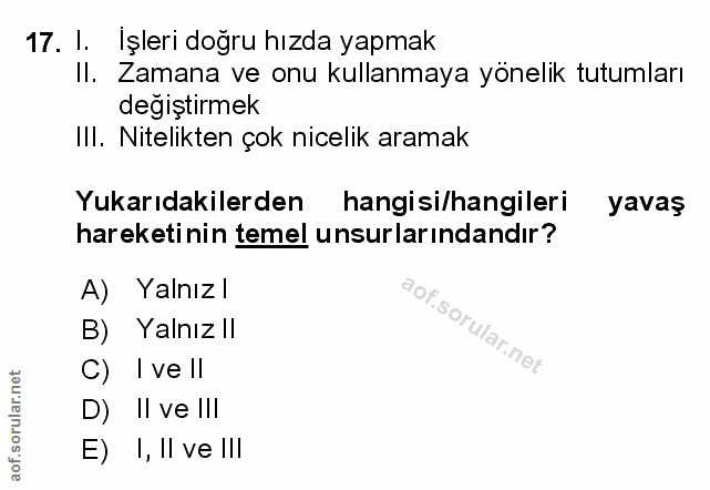 Soru 17