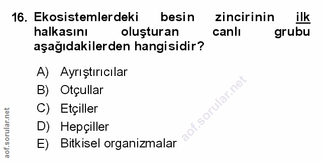 Soru 16