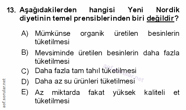 Soru 13