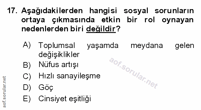 Soru 17