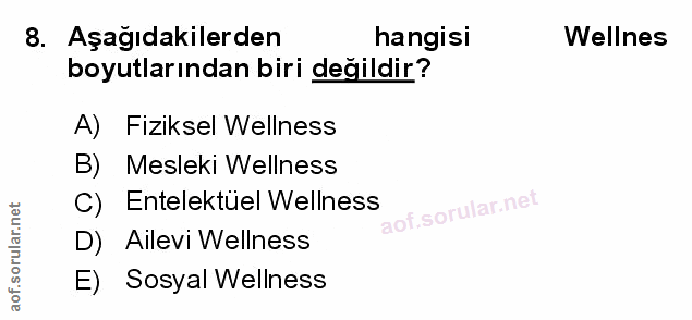 Soru 8