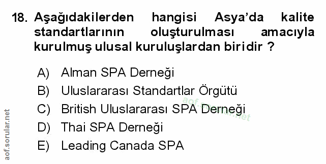 Soru 18