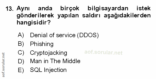Soru 13