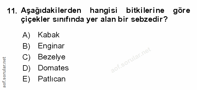 Soru 11