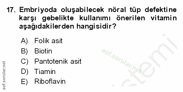 Soru 17