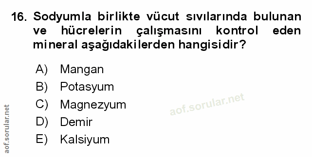 Soru 16