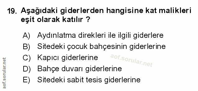 Soru 19