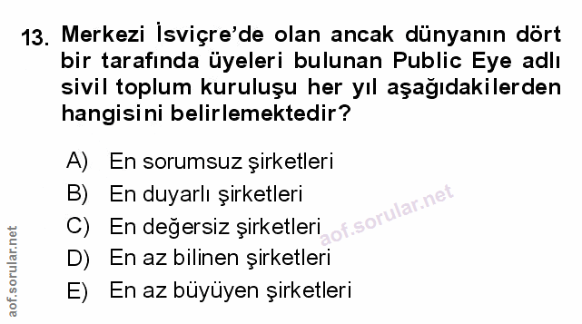 Soru 13
