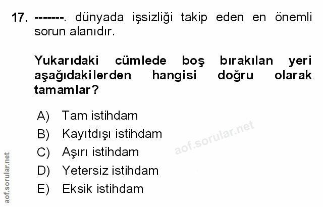 Soru 17