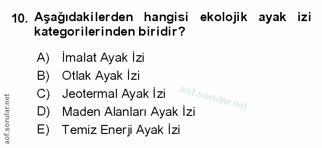 Soru 10