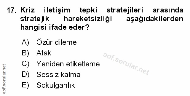 Soru 17