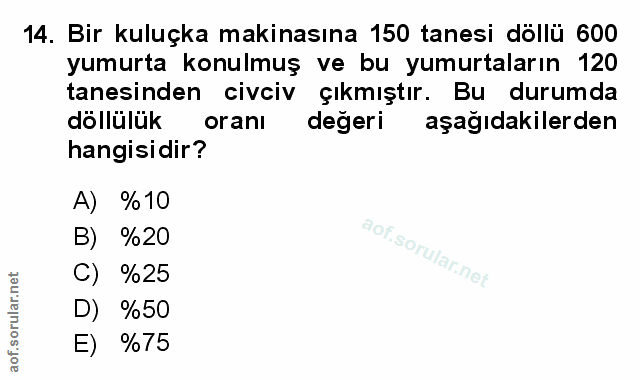 Soru 14