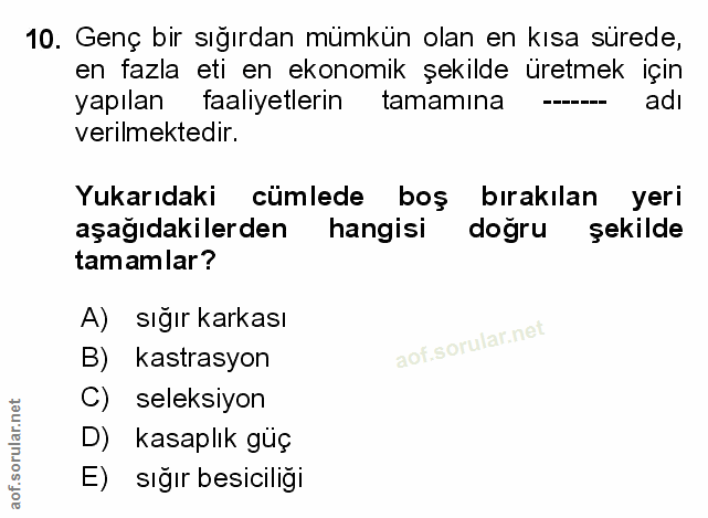 Soru 10