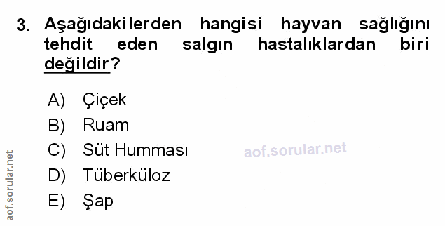 Soru 3