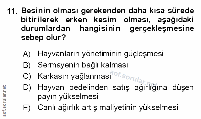 Soru 11