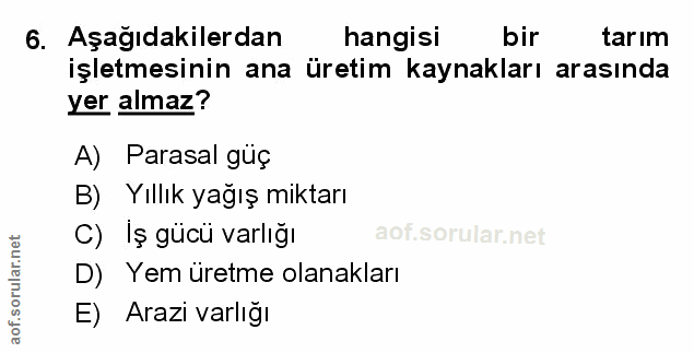Soru 6