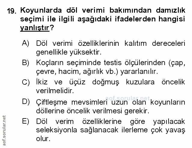 Soru 19