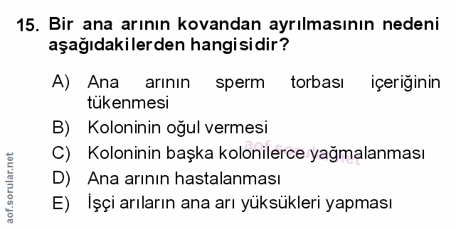 Soru 15