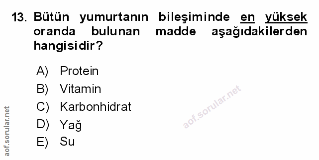 Soru 13