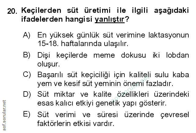 Soru 20